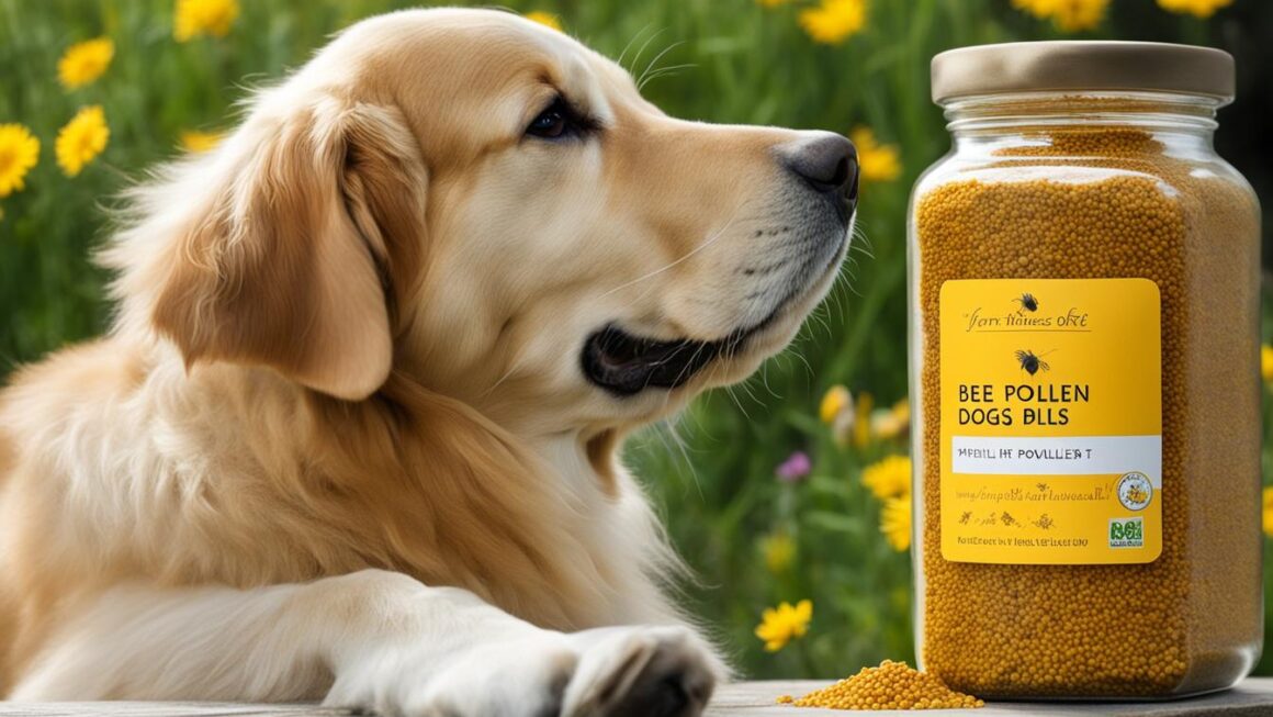 bee pollen for dogs