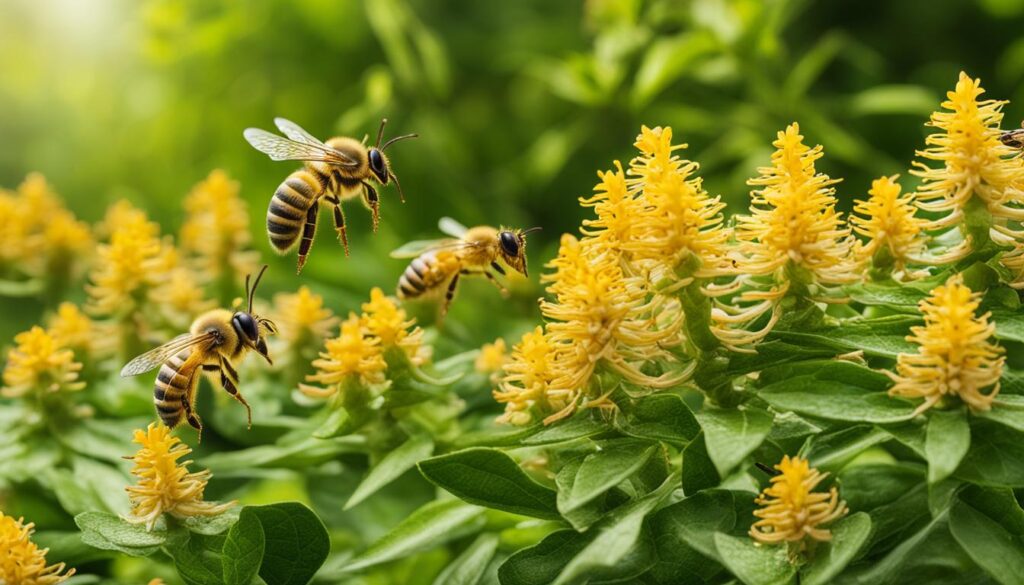 ginseng and royal jelly combination